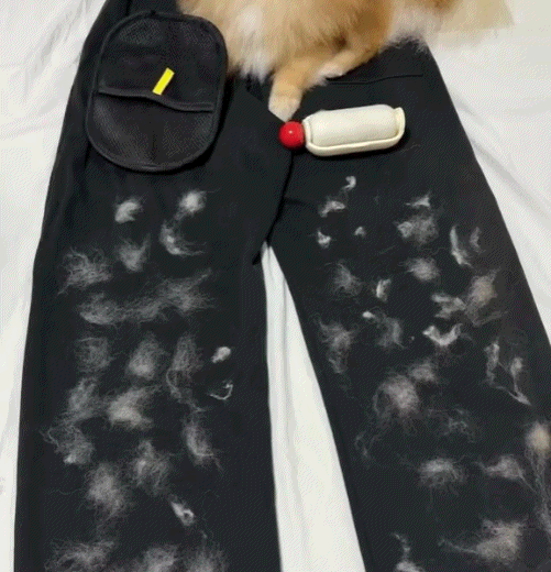 Buy 1 Get 1 Free🔥Rolimey® Electrostatic Pet Hair Removal Grooming Gloves